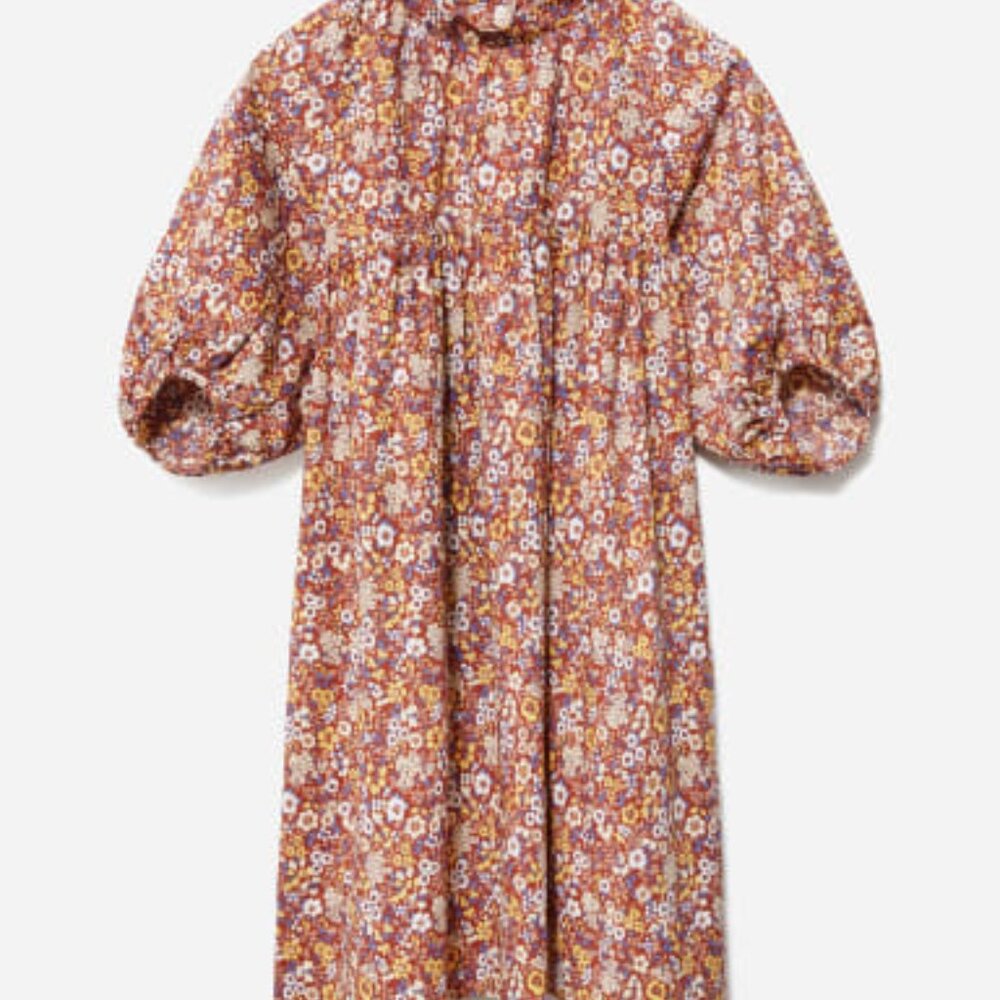 Everlane The Shirred Mini Dress